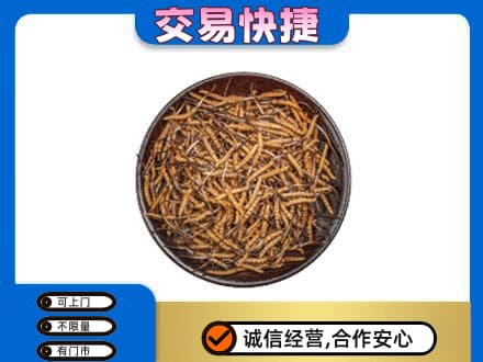 南昌回收散虫草