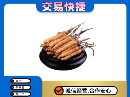 南昌礼品回收散虫草.jpg
